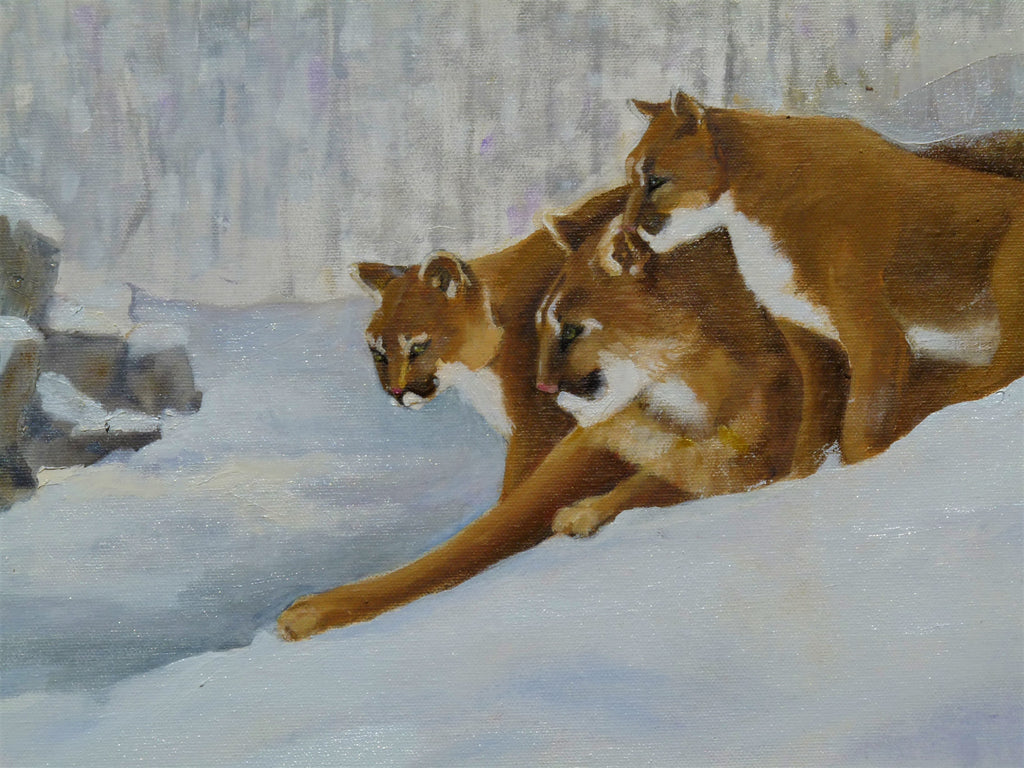 set of 5 Animal greeting cards