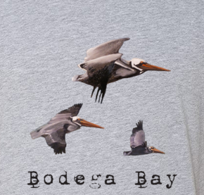 Bodega Bay Pelicans T-Shirt
