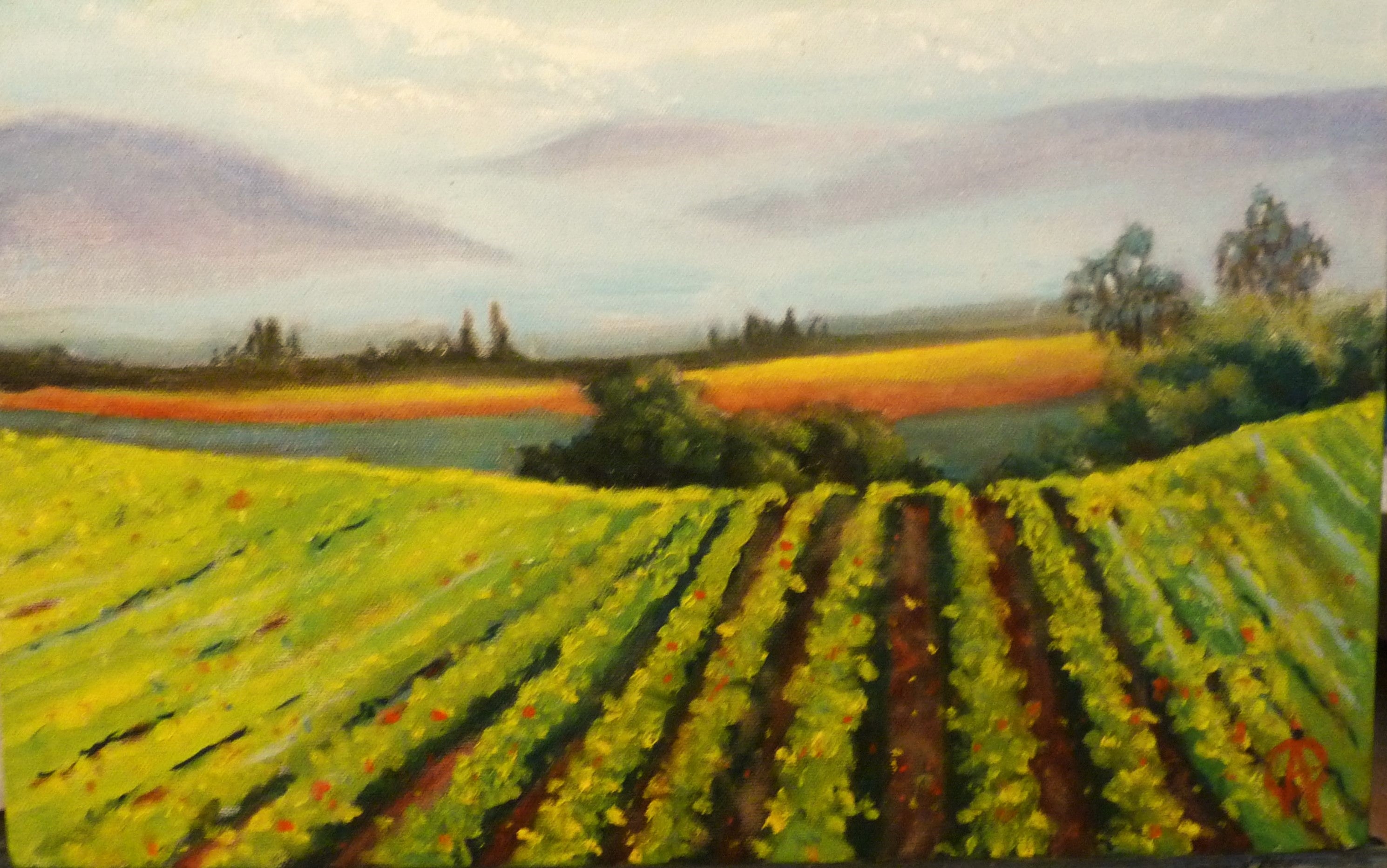 set of 5 vineyard greeting cards