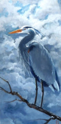 set of 5 Bird greeting cards