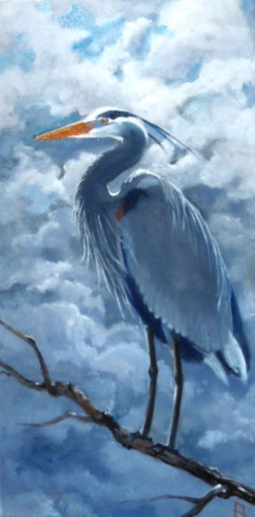 set of 5 Bird greeting cards