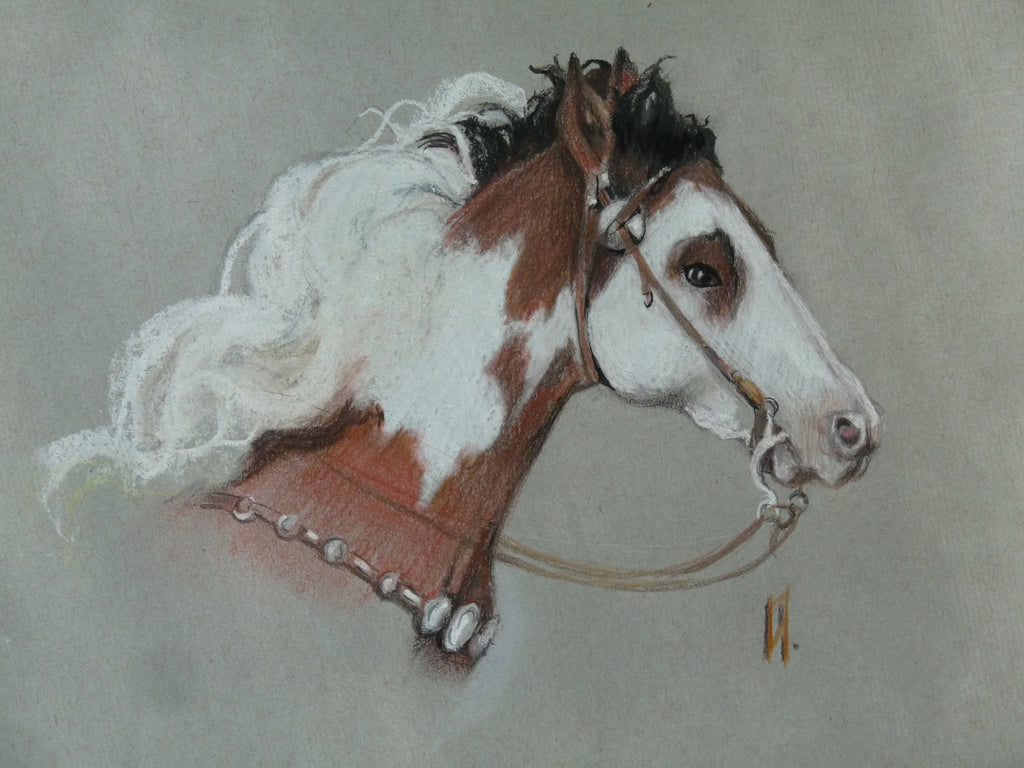 set of 5 Animal greeting cards