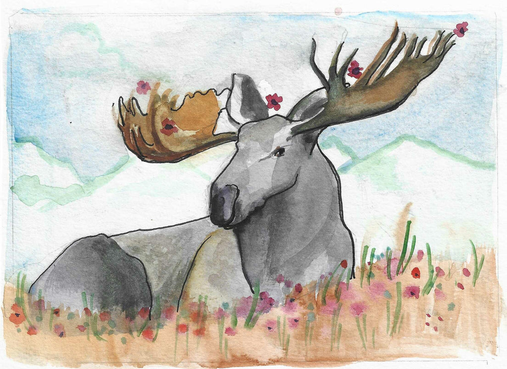 set of 5 Animal greeting cards