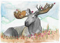 set of 5 Animal greeting cards