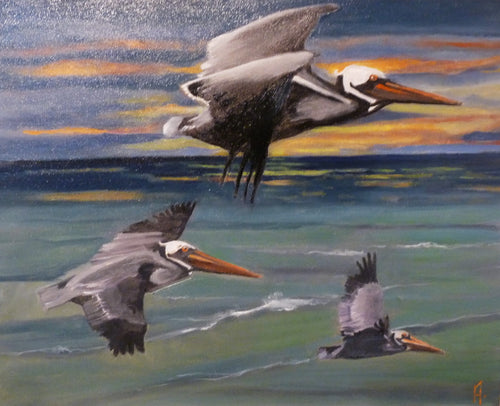 Three pelicans flying over Bodega harbor with a colorful sky in the background