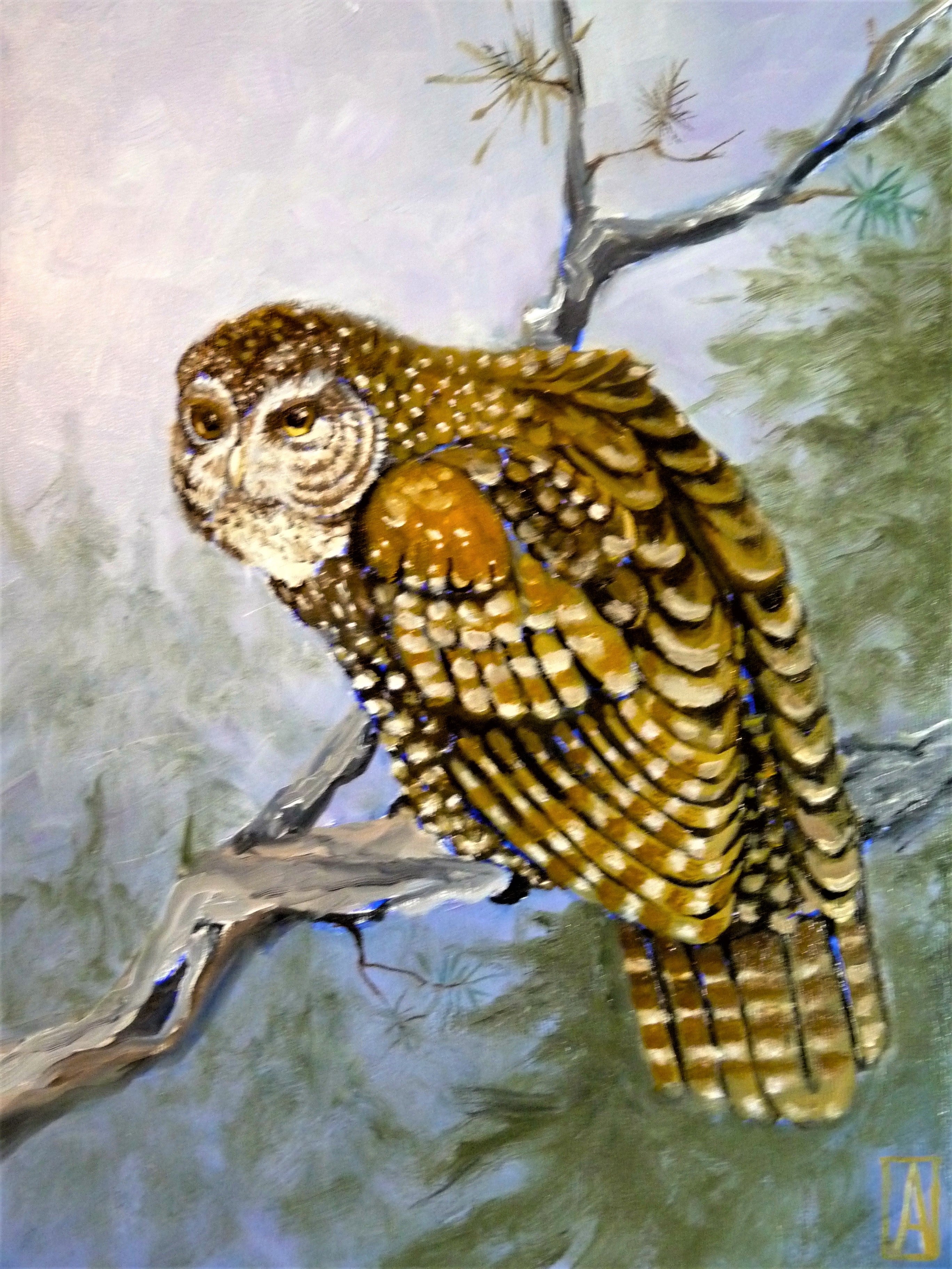 set of 5 Bird greeting cards